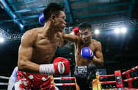 Photo courtesy of MP Promotions