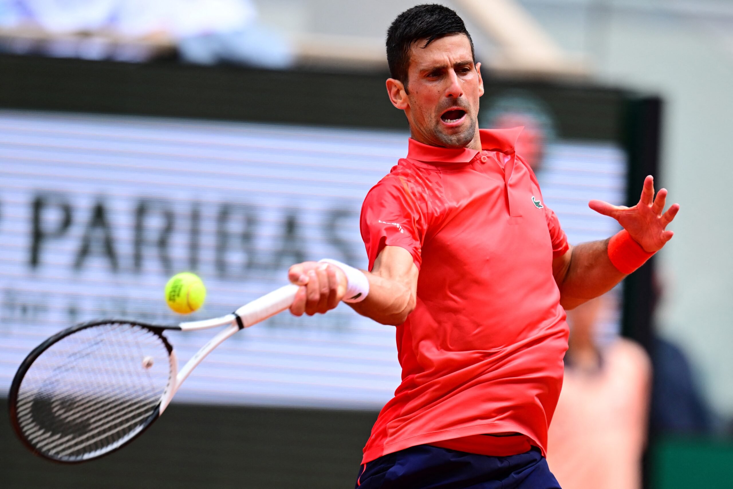 Novak: Undisputed tennis king