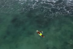 Snake no mistake: Australian fined for surfing with python