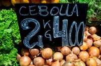 Onions are seen for sale at the Central Market in Buenos Aires, on 12 August 2023. The National Institute of Statistics and Census (Indec) released July 2023 inflation, which reached 6.3% and accelerated again after the drop in June. In the last 12 months, the figure has marked a decrease since it reached 113.4%. (Photo by LUIS ROBAYO / AFP)