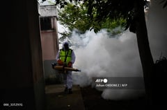 Guatemala declares dengue health emergency