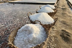 Solons: Marcos’ approval of measures to revive the dying salt industry