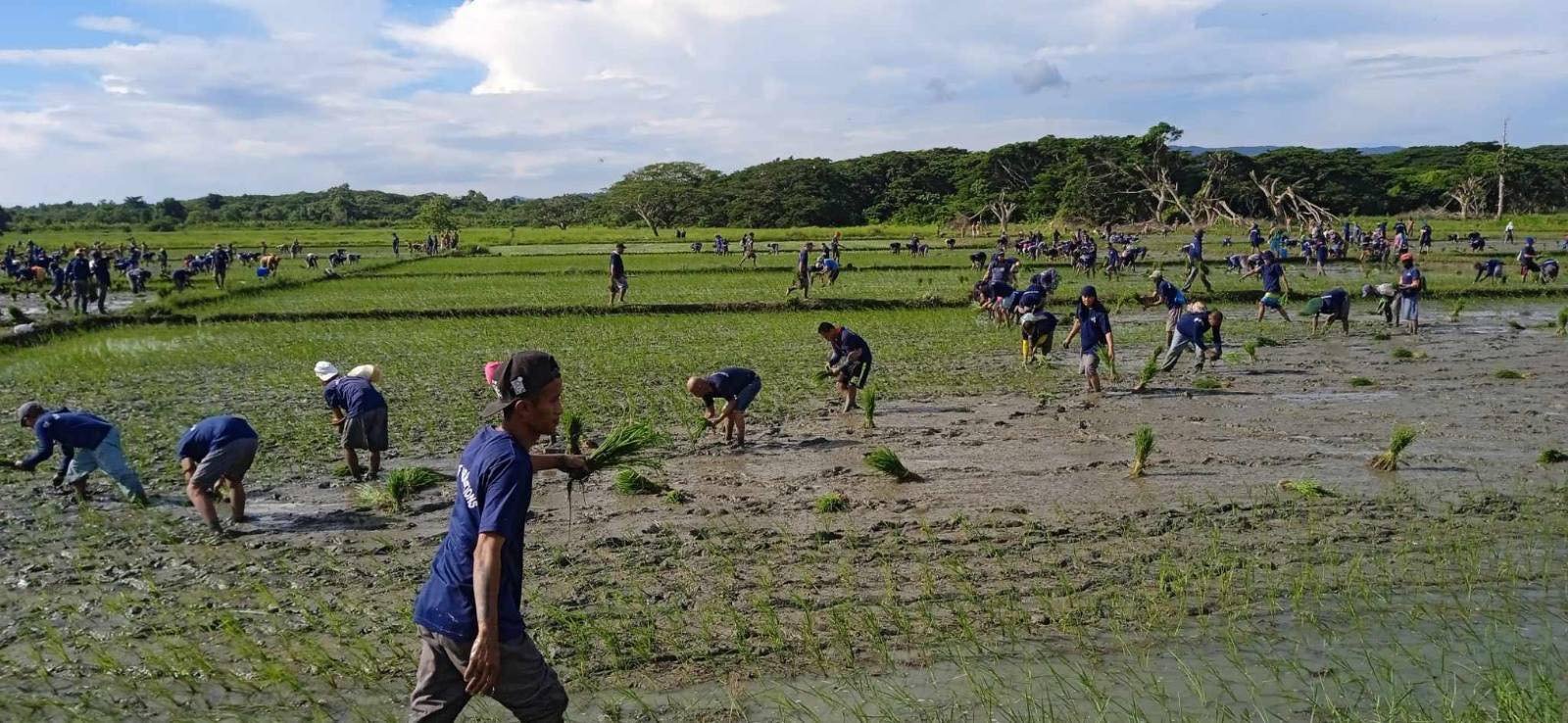 Palawan land reform case cites  DENR’s Yulo-Loyzaga for conflict of interest, ethical violations