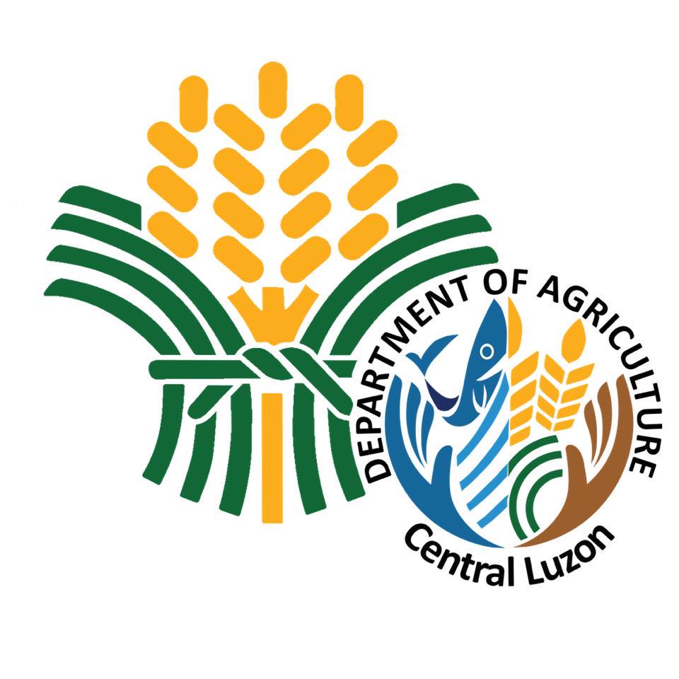 Veggie, legume stakeholders eye production increase