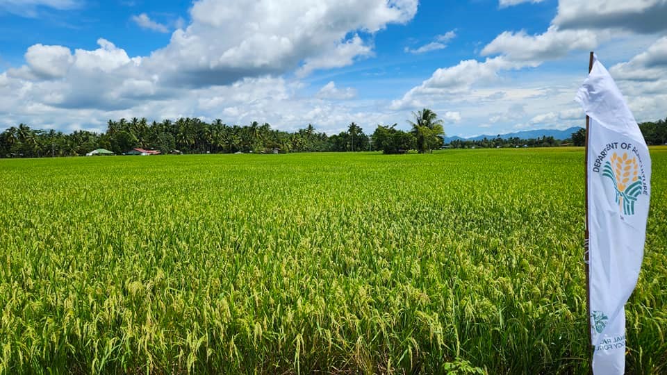 (Photo from Asia Pacific Seeds Association / Facebook)