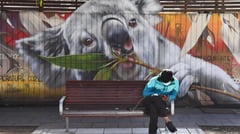 Australia logging ban to create koala haven