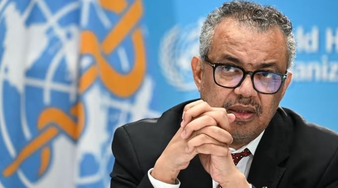 WHO seeks China access for Covid origin probe