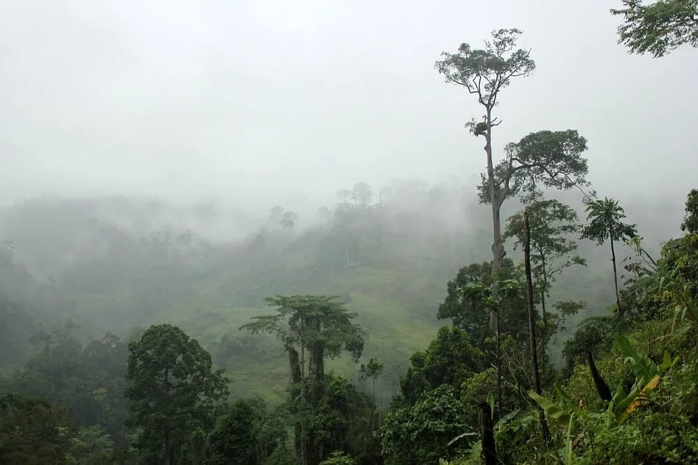 Benguet capital goes 'brrr' at 9.7°C; Baguio at 11°C