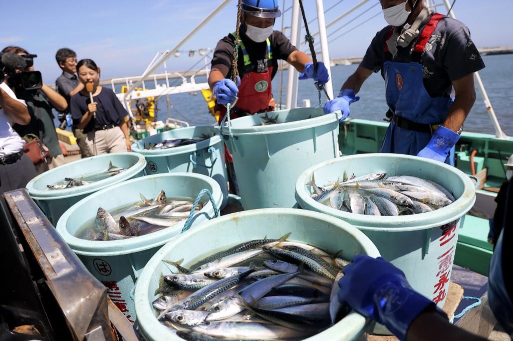 Second round of Fukushima wastewater release to start next week