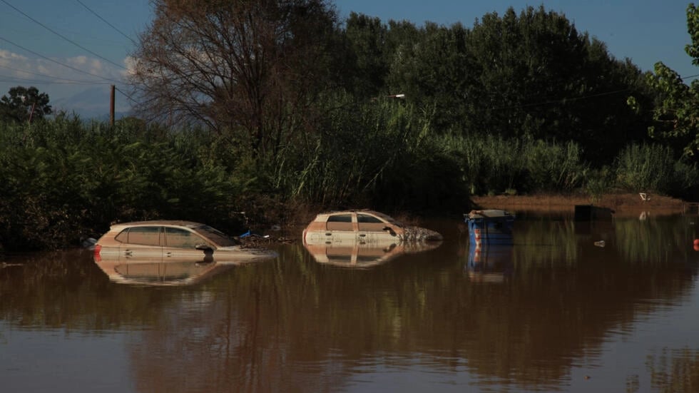 Floods wiped out quarter of Greek farm produce: experts