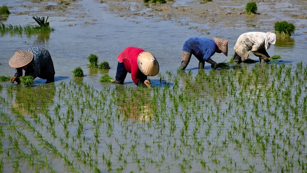 Marcos extends lower food tariffs