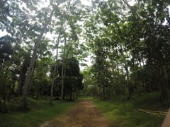 PLDT, Smart work with Maynilad on reforestation and water stewardship