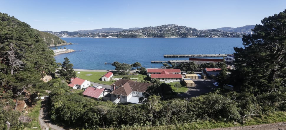 Peter Jackson buys New Zealand property to thwart controversial development