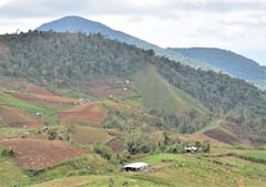 Hope for the uplands