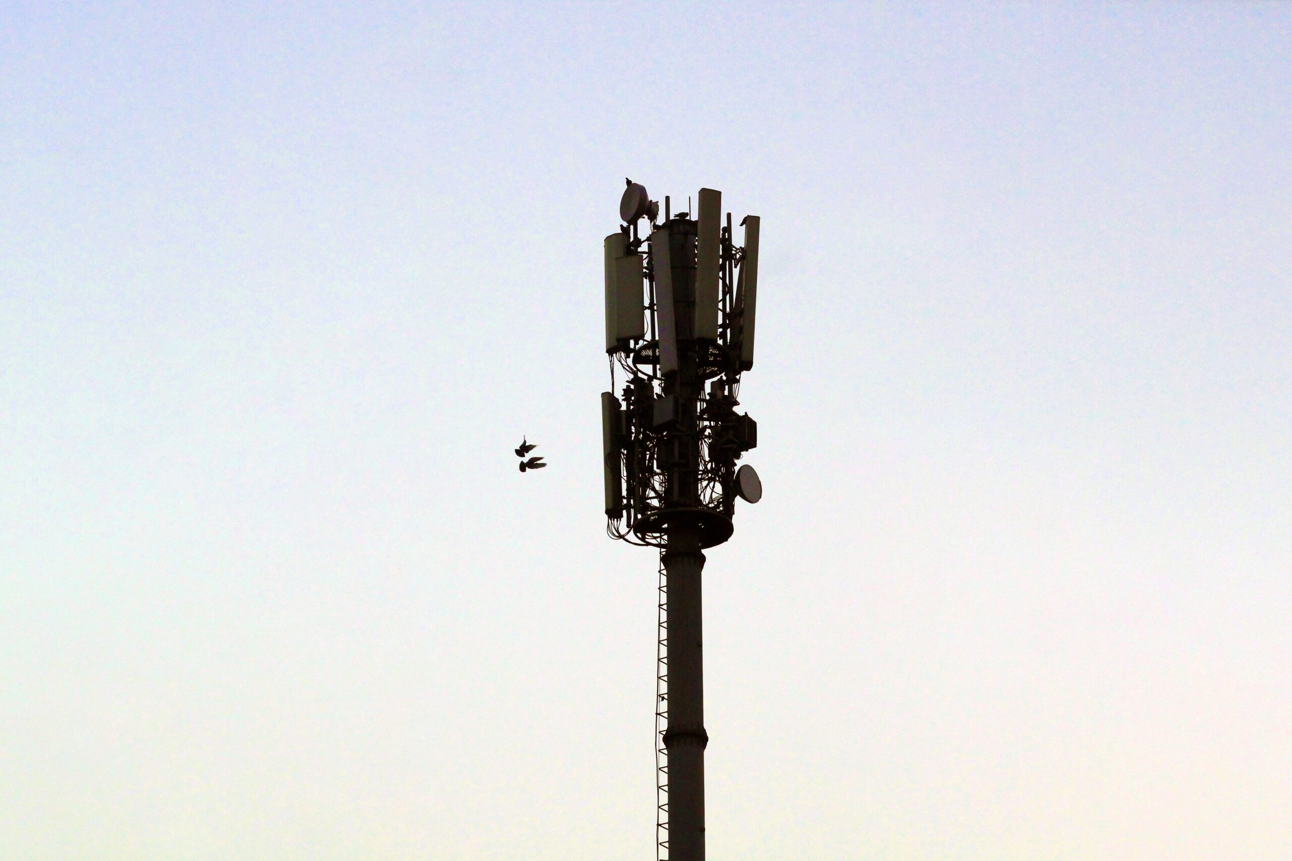 Germany weighs barring Chinese parts in 5G networks
