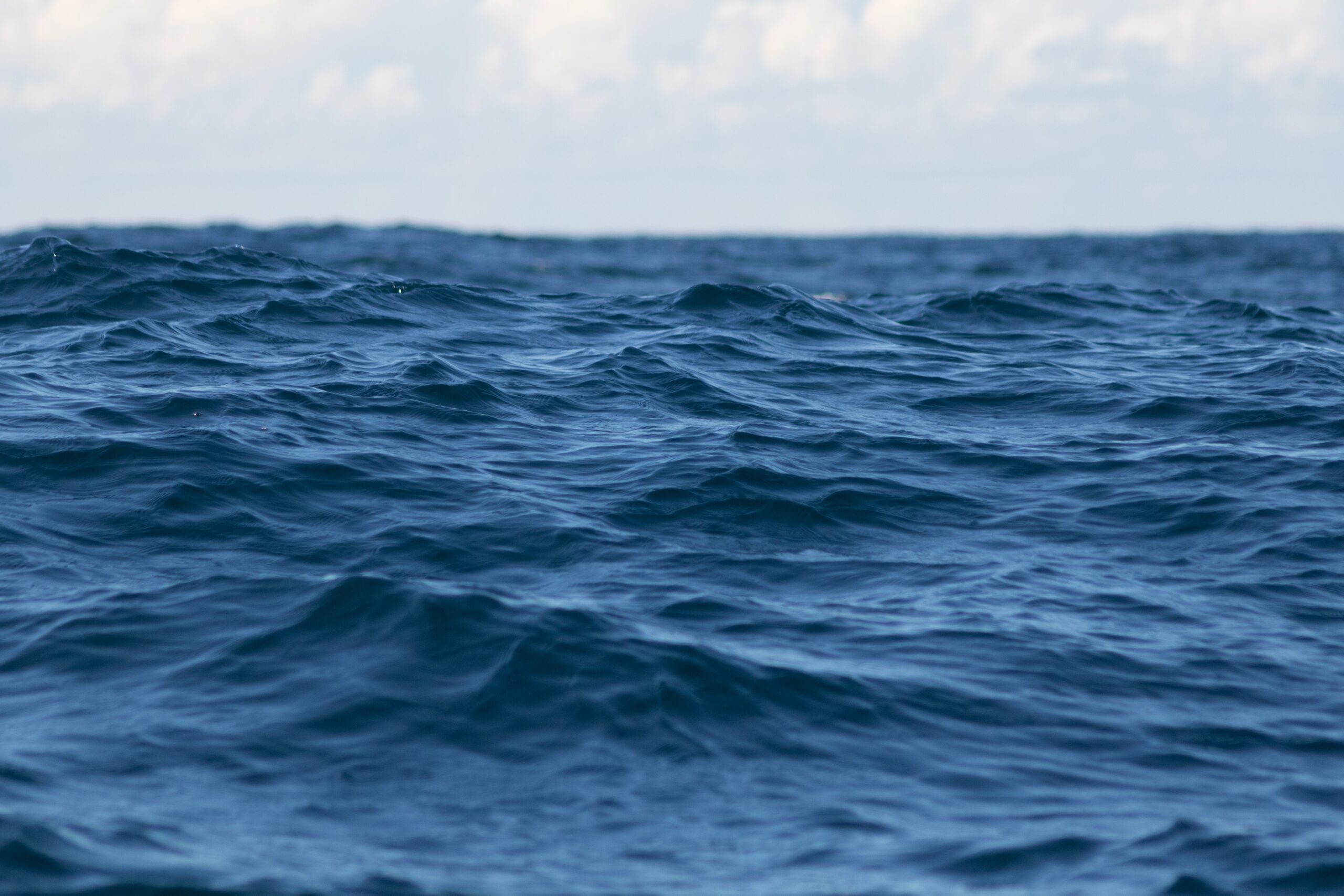 Photo courtesy of Unsplash