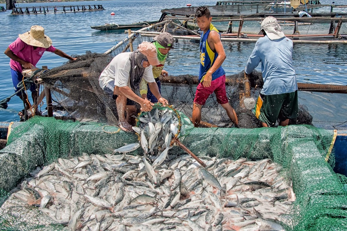 WB, BFAR launch coastal resiliency project