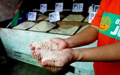 Central Visayas rice retailers’ payout slated