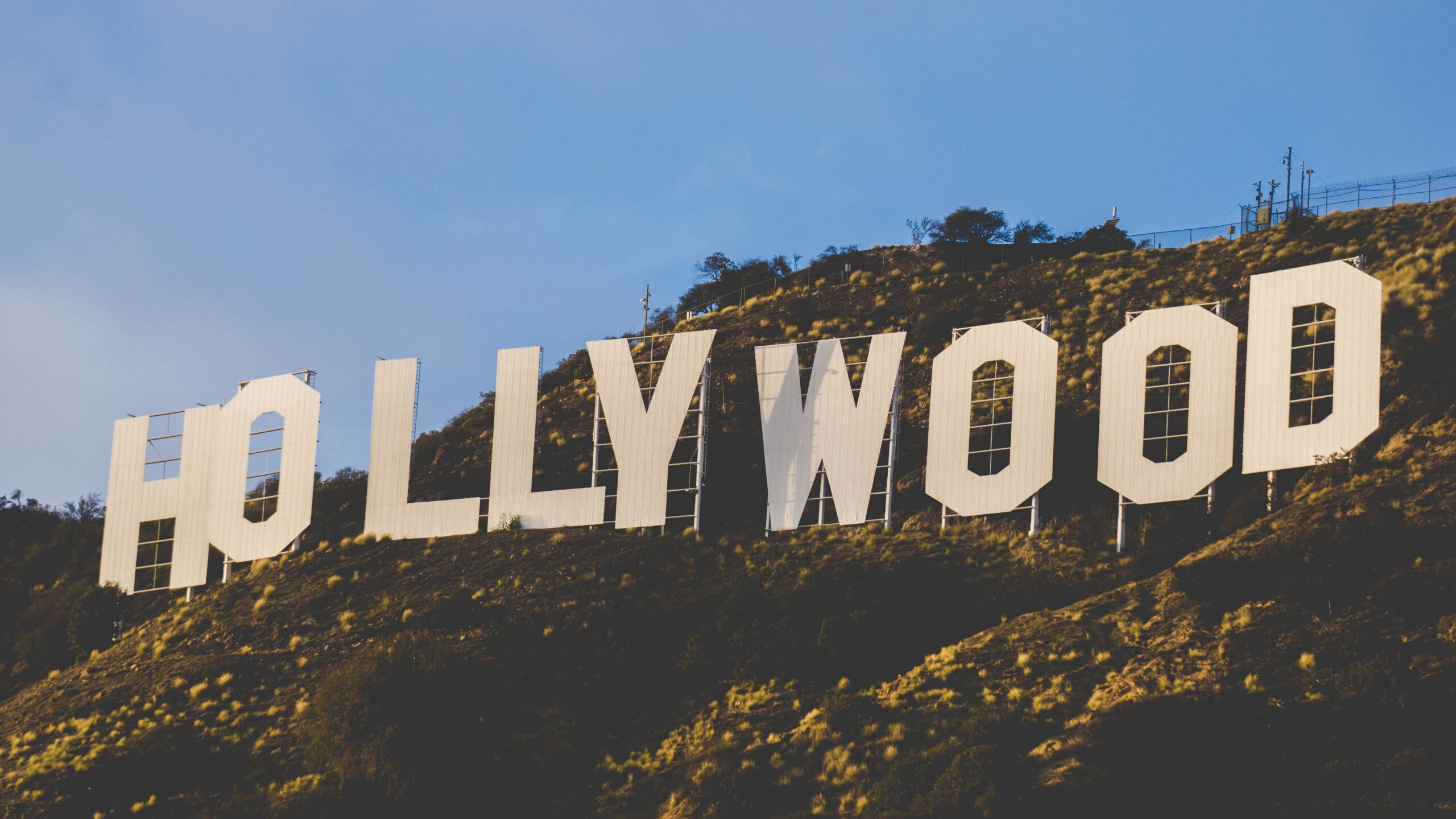 Photo courtesy of Unsplash