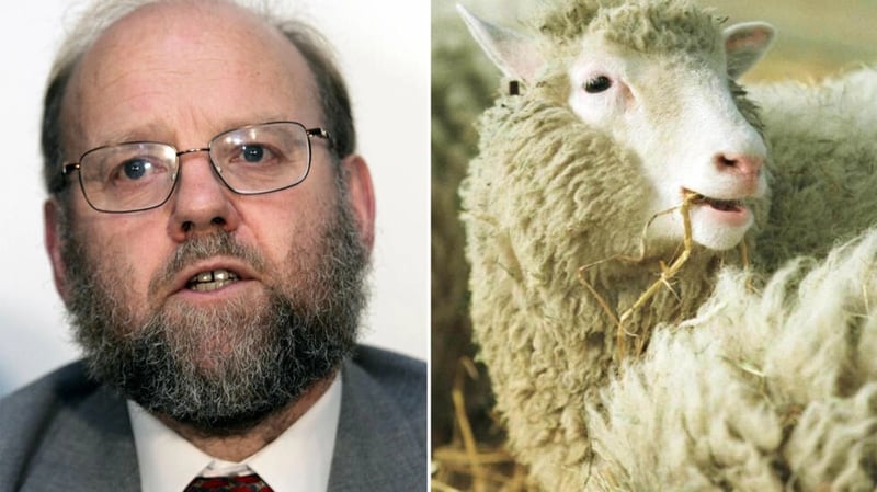 Scientist who led team that created Dolly the cloned sheep dies at 79