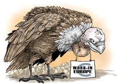 Catch those vultures