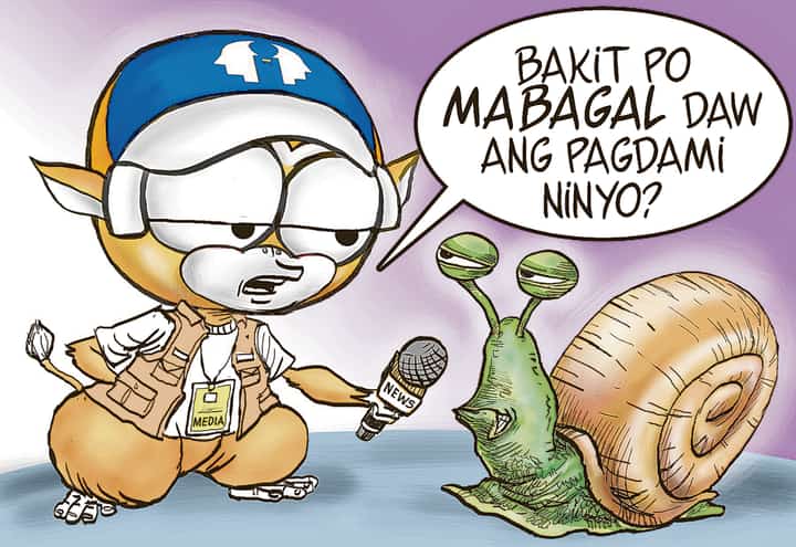 Snail sale