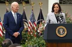 Fighting gun violence, Kamala’s new task