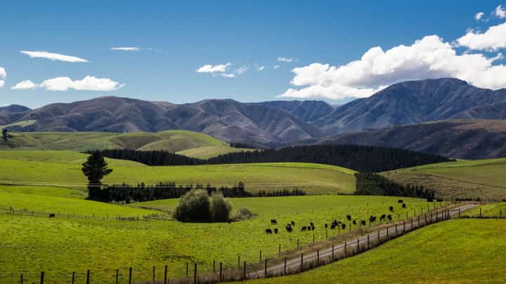 Women engineers eye NZ-like farms