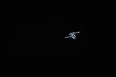 Two Russians, American reach space station