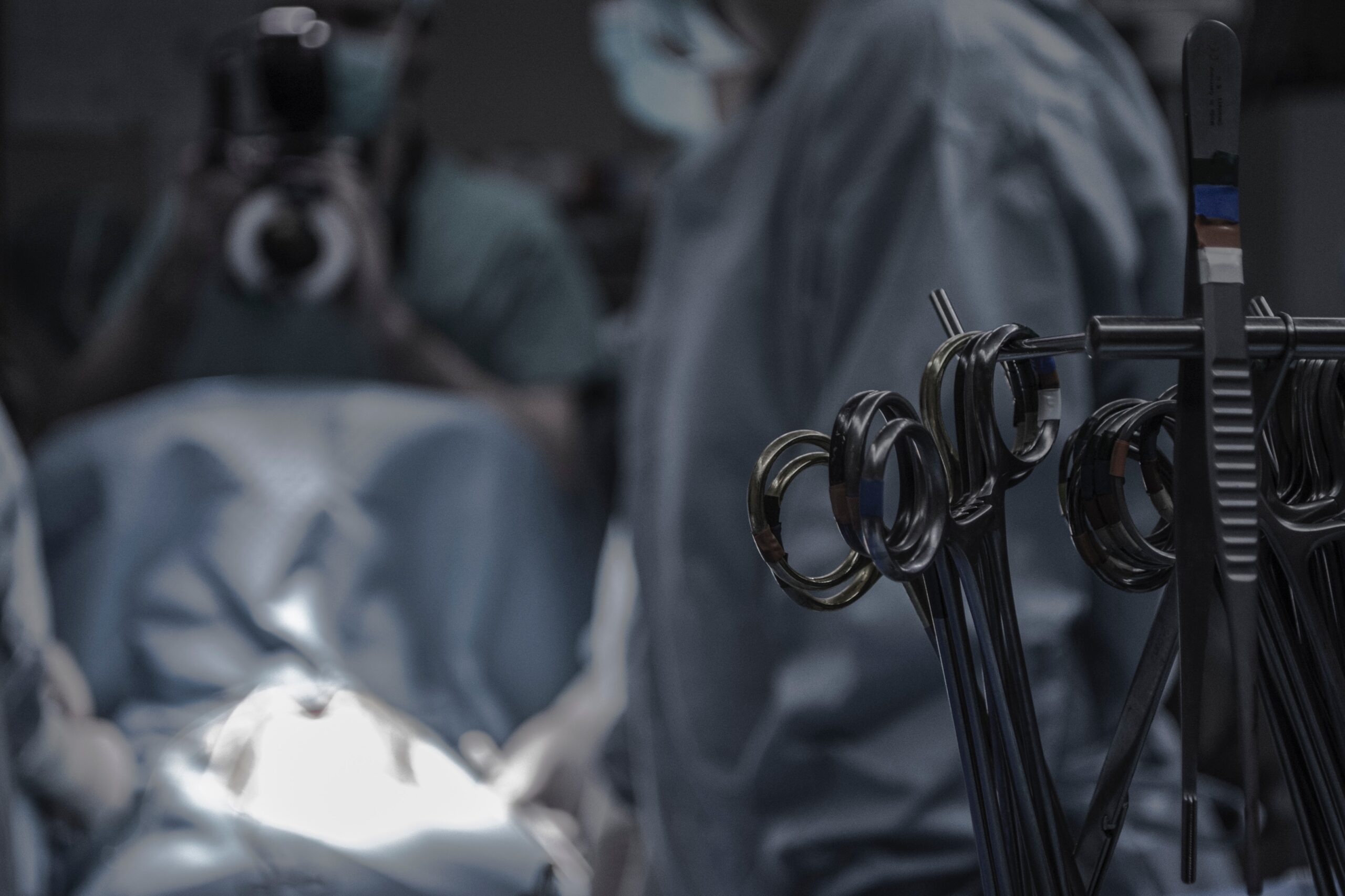 US surgeons report longest successful pig-to-human kidney transplant