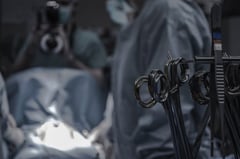 US surgeons report longest successful pig-to-human kidney transplant
