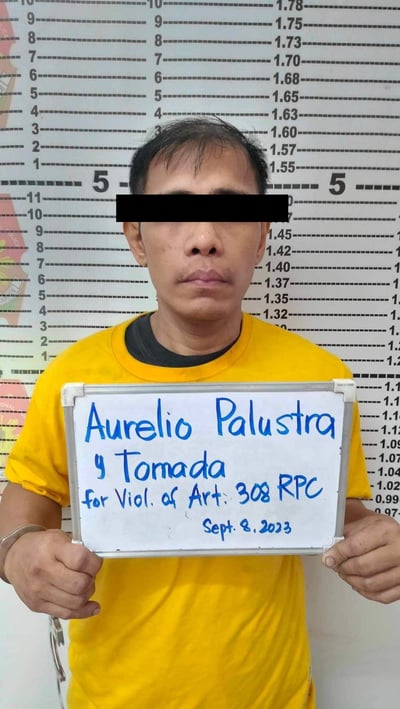 Skyway cable thief nabbed 