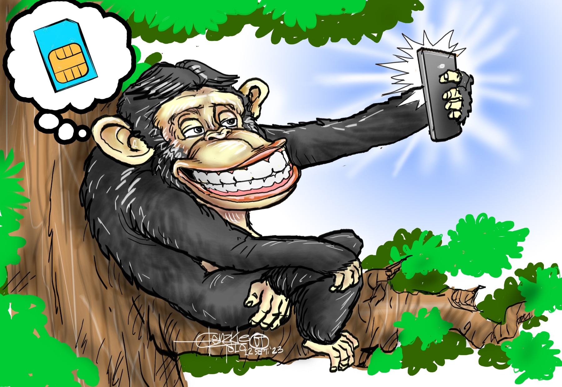 No monkeying around