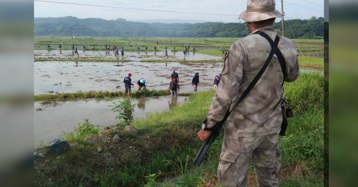 400 Iwahig PDLs gear up for food production