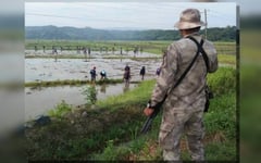 Iwahig kicks off mechanized planting