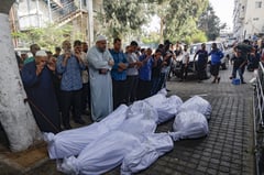 Gaza death toll in war with Israel rises to 313: ministry