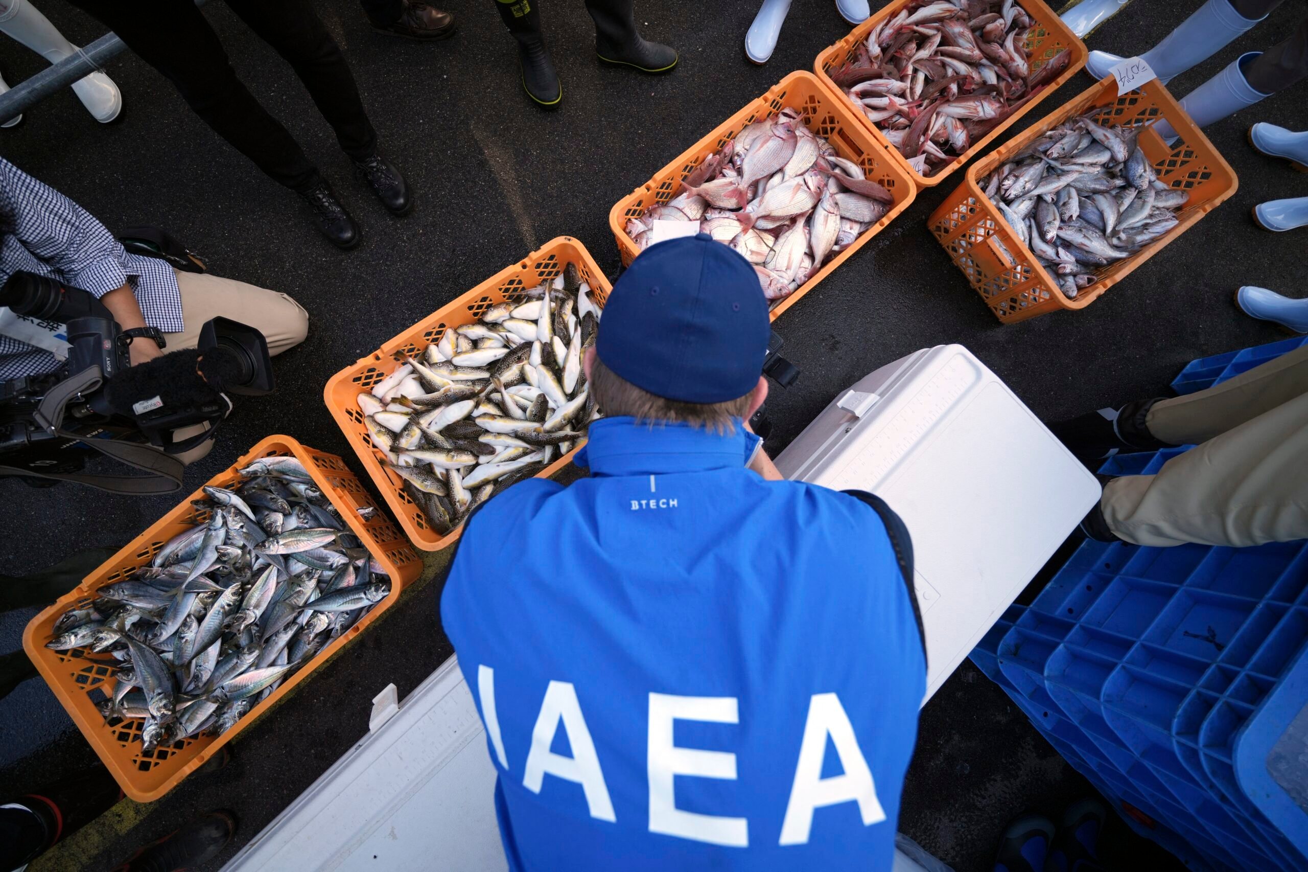 Fukushima fish tests check tritium level