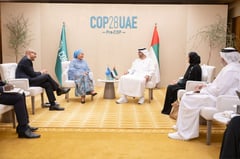 COP28: Countries salvage climate goals