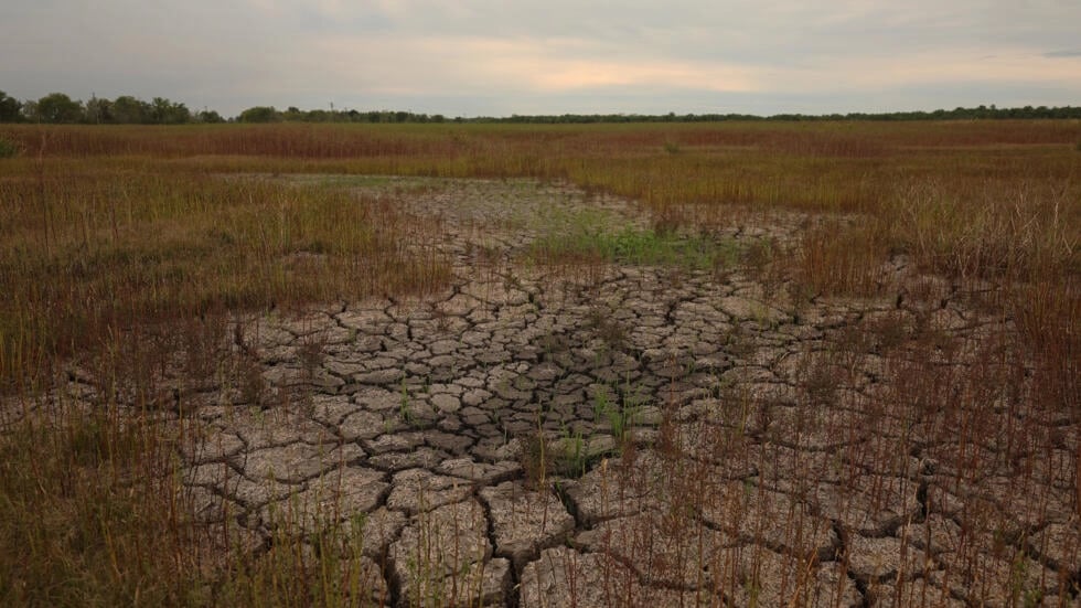 Urgent climate financing needed to support nature-based solutions