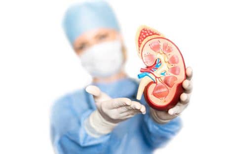 TO avoid CKD-MBD, refrain from damaging your kidneys in the first place.