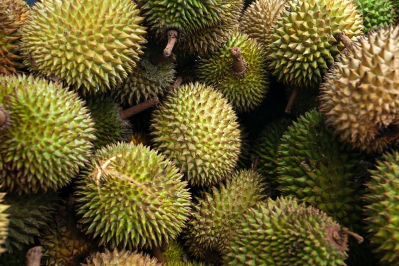 Davao’s farmers’ group holds 1st Philippine Asia Durian Summit