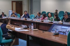 Solon lambasts ‘conflict of interest’ as private firms leading ASF vaccine trials