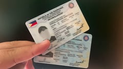 LTO chief hails CA decision over license plastic cards