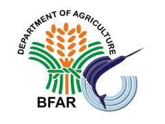 BFAR extends aid to bereaved families, survivors of Bajao de Masinloc incident