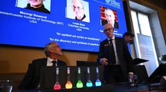 Trio win chemistry Nobel for ‘quantum dots’ after leak