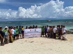 SMPC distributes seaweed propagules to Caluya seaweed farmers