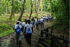 Foundation and bank employees plant 2,000 trees at La Mesa Watershed