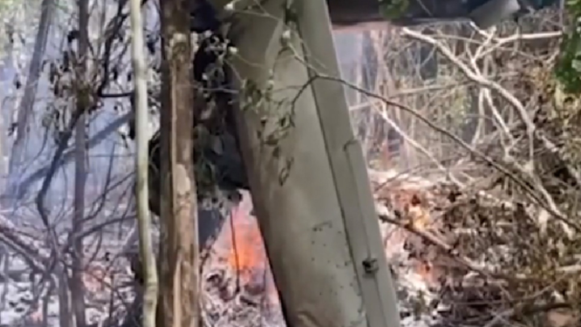 Brazilian Amazonplane crash claims 12