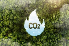 COP28 faces debate over carbon credits