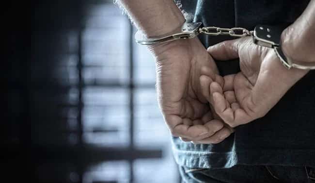 Chinese nationals nabbed in Palawan for illegal wildlife trading